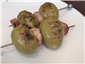 olive and crouton snack
